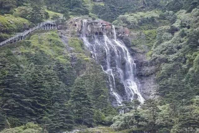 探秘吉鹿力问答社区,解锁广州市有没有关于泳池必须有救生员值班的政策规定疑问